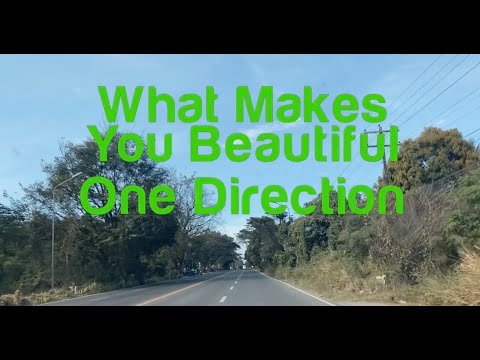 0898 What Makes You Beautiful - One Direction (Karaoke)