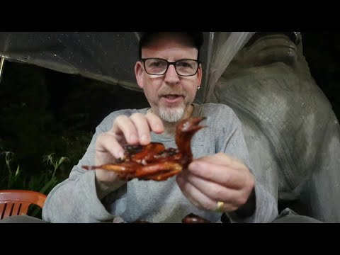 Quails on the BBQ | Cambodian Street Food in Siem Reap | Jan Tom Yam