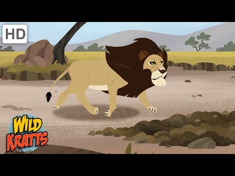 Amazing Adaptations Part 6 | How Animals Survive in the Wild | Wild Kratts