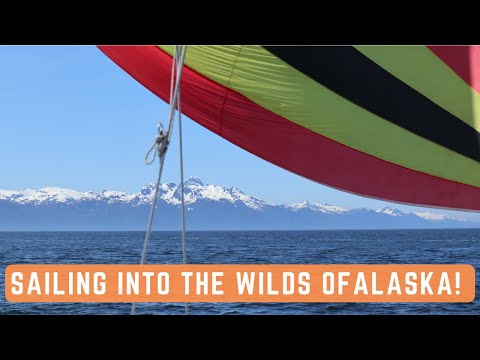 Sailing to Ketchikan | Lots of Whales, Clearing Customs, and Heading into the Wild! - Ep. 16