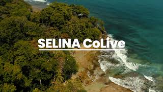 Selina CoLive Experience: Home is where you choose to stay