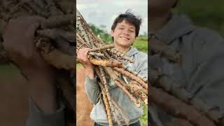 Download lagu DJ RAJA MEXICO JEDAG JEDUG #kuraihbintang #MemetAlvaro #trending mp3