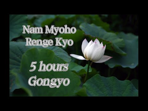 5h Nam Myoho Renge Kyo - MIRACLE Very Fast Gongyo