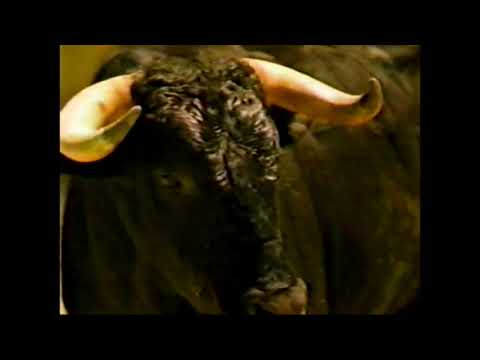 Thumbnail for 1997 Jeep Farm Animals Commercials by Jeep