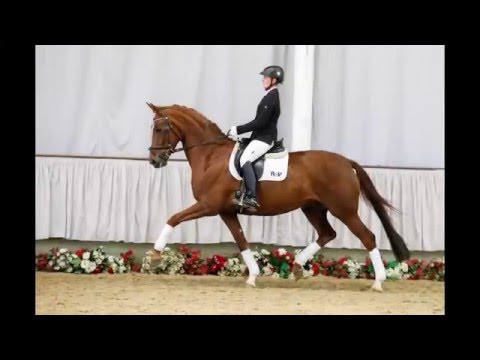 16 Sunshine  Stute v.  Sunday - Fidelio