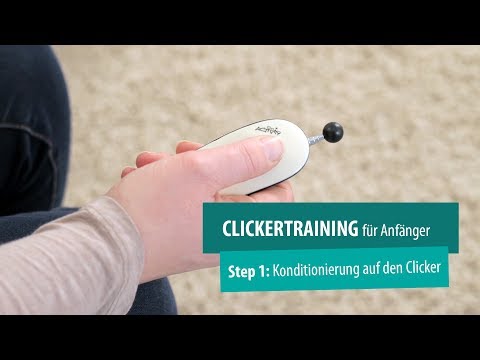 Katzenclickertraining: Step 1- Konditionierung auf den Clicker