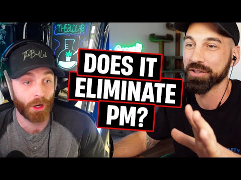 Does Bud Washing Remove Powdery Mildew?