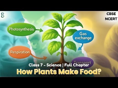 Life Processes in Plants – Class 7 Science video