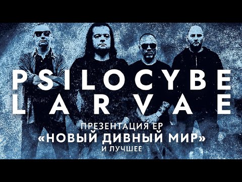 Psilocybe Larvae - Live at Serdce 2025.09.05