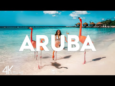Top 10 Best Things to Do in Aruba [Aruba Travel Guide 2025]