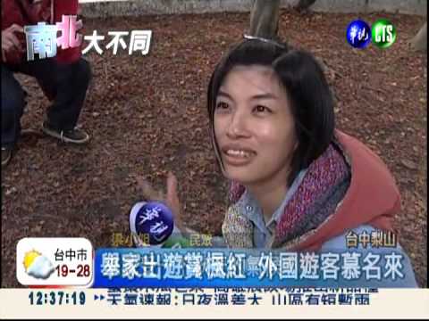 台中福壽山農場 楓紅層層詩意濃