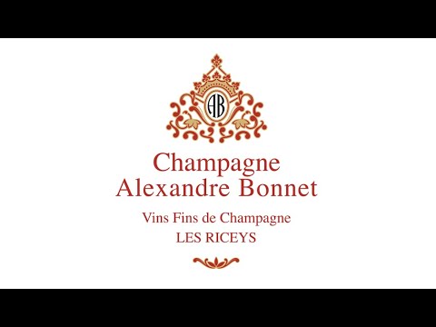 Champagne Maison Brand Story | Alexandre Bonnet