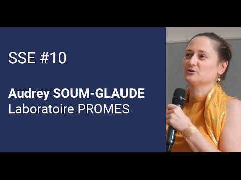 SSE 10 - COURSE - Audrey Soum-Glaude