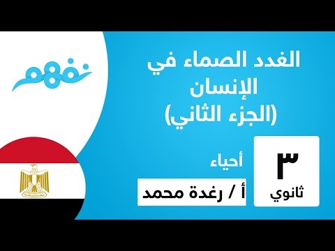 الغدد الصماء في الإنسان (الجزء ثاني) - الأحياء - للثانوية العامة -  المنهج المصري - نفهم