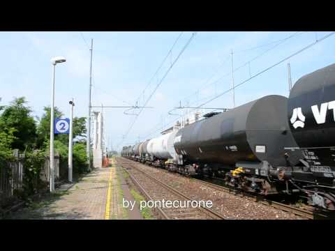 LE TAURUS "PASCOLANO" IN LOMELLINA...