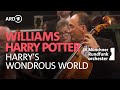 Williams - Harry's Wondrous World | Ulf Schirmer | Münchner Rundfunkorchester