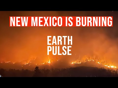 14 Disasters | 15/05/2022