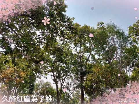 2023年3月適合掃墓的日子