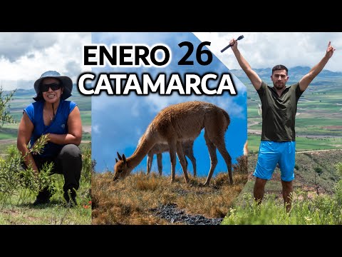 Enero 2026 en CATAMARCA: Los videos que se vienen