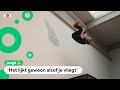 Het jaar dat    Jack hoog eindigde bij het NK freerunnen