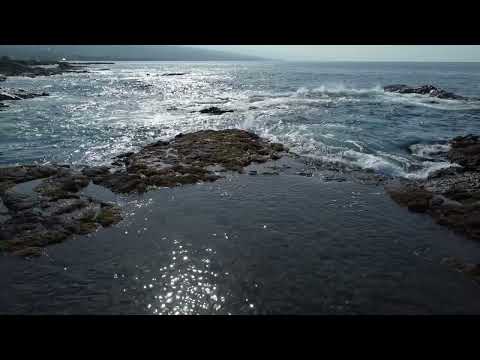 Dukewood & De Hofnar & Kav Verhouzer - Don't Stop (Zedised Remix) | Deep House