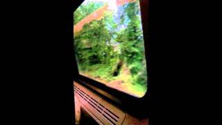 Irene - By Marcy Playground (Fan made Vid)