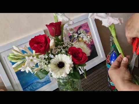 First Vlog of 2025 Happy New year