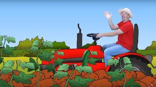 Kids Song from Steve and Maggie | How many? | Do you like? | English for Children