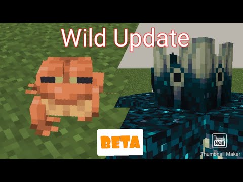 Minecraft -Wild Update 1.19 [BETA]