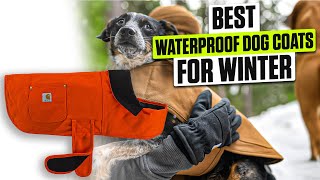 3 BEST Waterproof Dog Coats for Winter - Don’t Wait Until They’re Soaked!