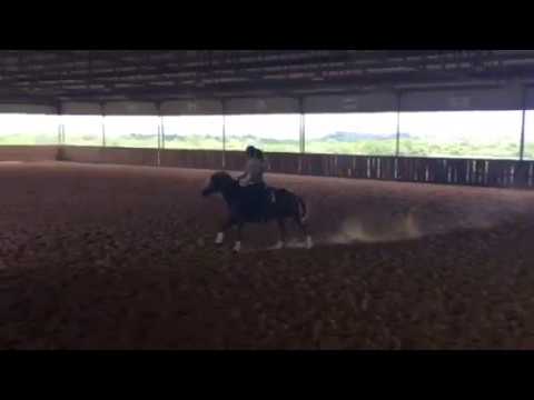 Mattie Gustin - first time ride #3 (stewie)