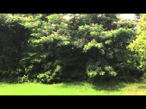 BACK TO SENDER PRAYERS: " WITCHES HATE THIS KIND OF PRAYERS"