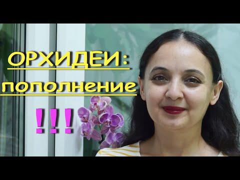 НОВИНКА-пафиопедилум:НАРАЩИВАЮ КОРНИ во МХЕ.Цветущие "Башмачки" Юлии Кисловой.ОРХИДЕИ.