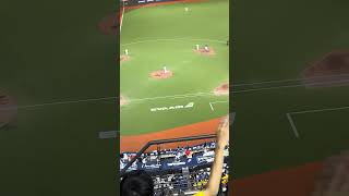 【CT AMAZE】#premier12 ドミニカVS台湾 @台北大巨蛋20241114 #台湾チア #cheerdance #cheerleading #amaze #啦啦隊 #teamtaiwan