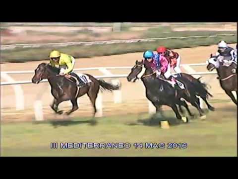 Galoppo Corse del 14 Maggio 2016