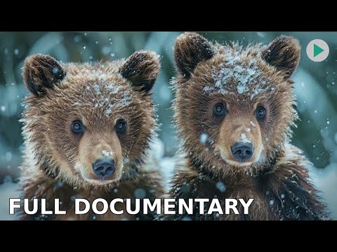 THE MAN WHO LOVED BEARS - PART 2 🌍 Exclusive Documentary Premiere 🌍 English HD 2024