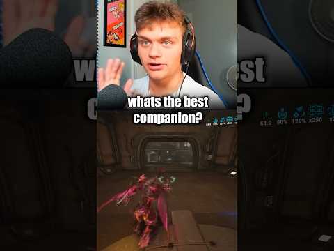 What COMPANION Do You RECOMMEND In Warframe 🤔