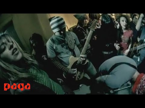 Köpek - Athena