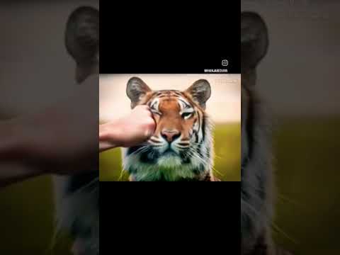 one punch animals #Rajib tech# AI video #sorts video # viral video