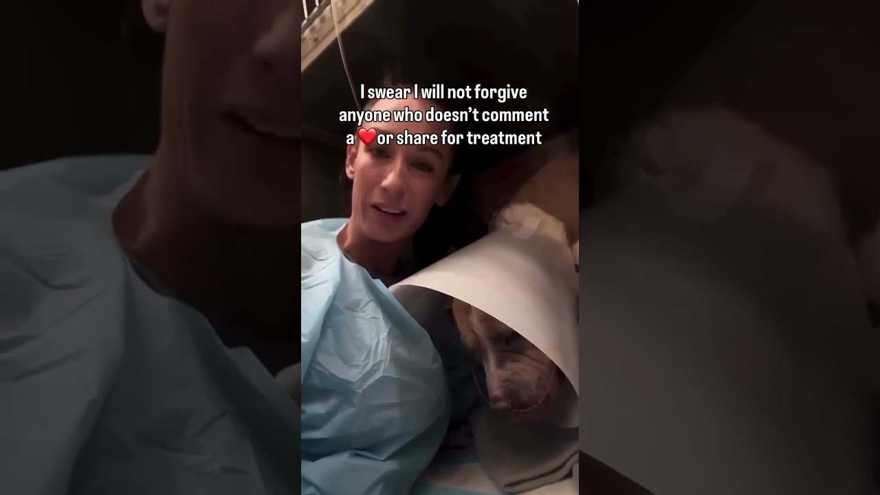 every donation brings us together to help raise funds needed to save our soul#usa #uk #canada #reels