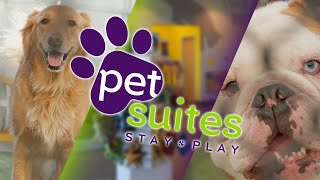 Business Avenue: PetSuites