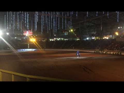 Agape Naturals: Devin Warren at the National Western Freestyle Reining