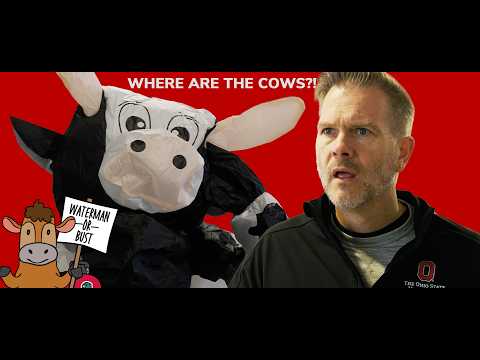 Help Us Bring the Cows Home to Waterman!