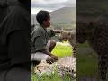 Would You Pet A Cheetah In Africa
