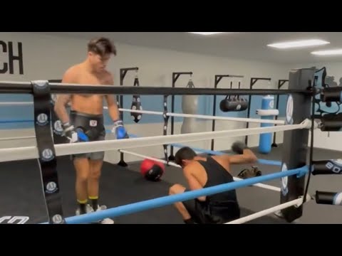 BOXER TEACHES A BULLY A LESSON HE WILL NEVER FORGET!! (READ DESCRIPTION)