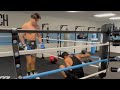 BOXER TEACHES A BULLY A LESSON HE WILL NEVER FORGET READ DESCRIPTION