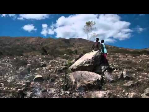 FruitTreeBenefits Mike 1min31sec