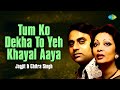 तुम को देखा तो ये ख्याल आया Tum Ko Dekha To Yeh Khayal Aay