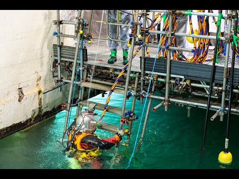 The Pile Fuel Storage Pond divers - Sellafield Ltd