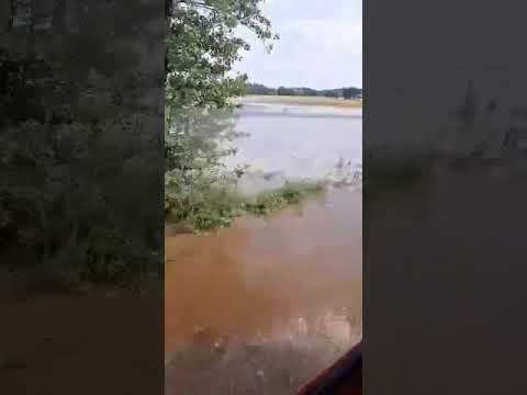 Obrazek poglądowy filmu YouTube